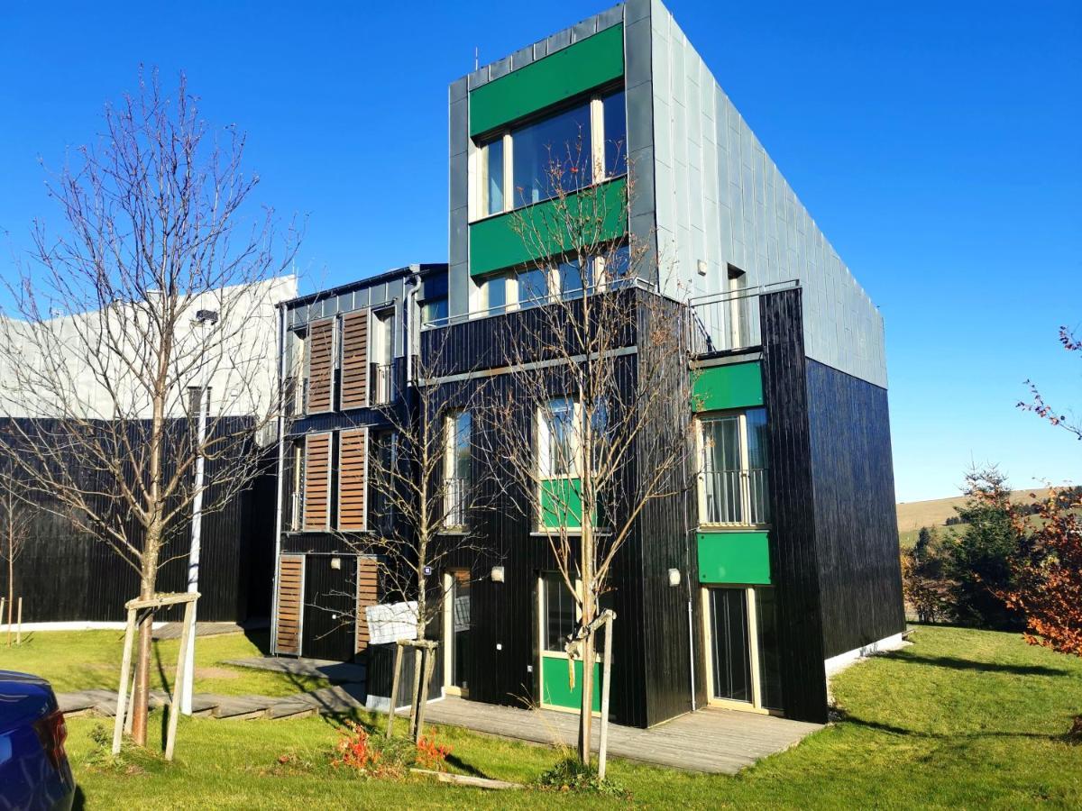 Loučná pod Klínovcem Apartman Mustang Klinovec מראה חיצוני תמונה